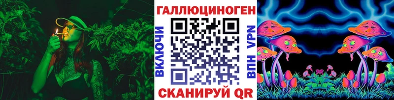 Галлюциногенные грибы Psilocybine cubensis Анива